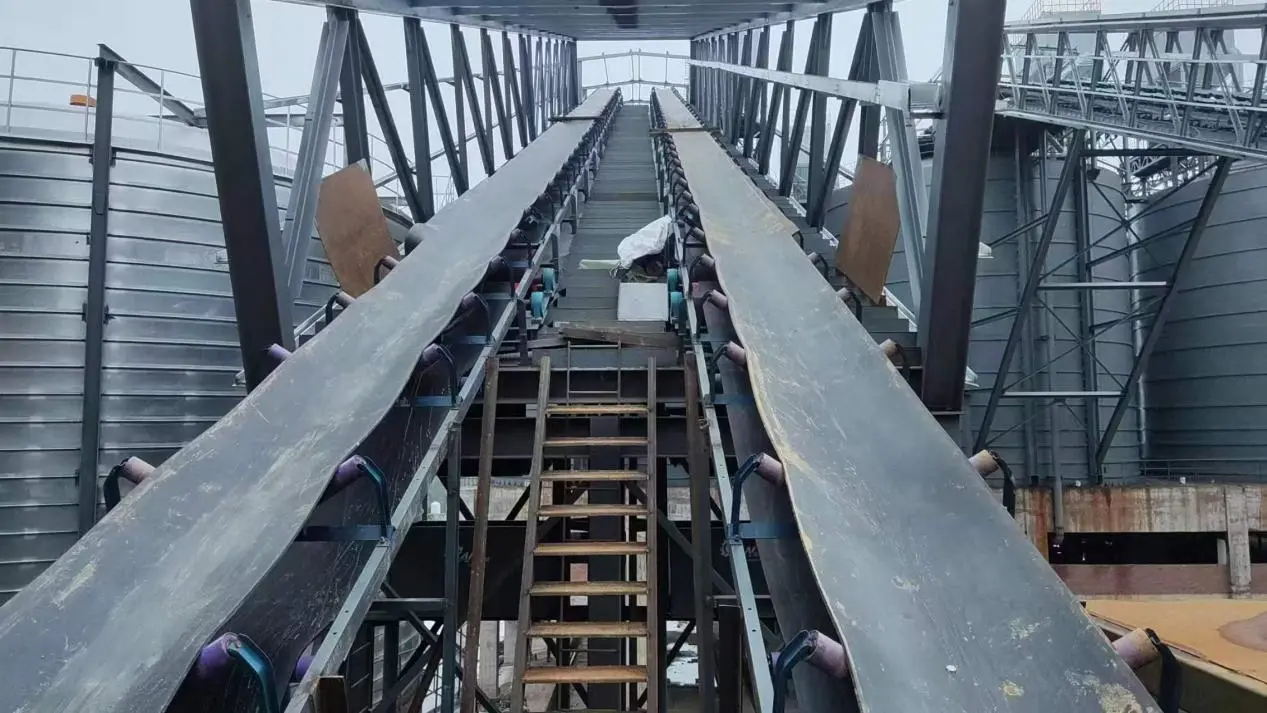 V Return Idler Roller