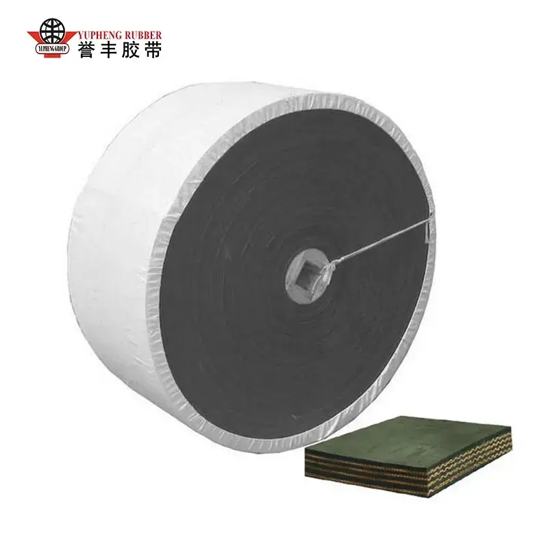 NN Conveyor Belt